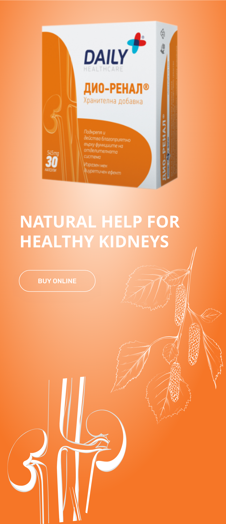 DailyDioRenal-Web-MobileResponsive-x2